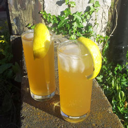 Två glas med den optimala Gin och tonicen på hemlagad tonic